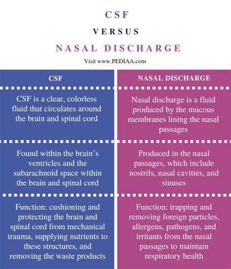 csf vs mucus|Difference between CSF and Mucus: Detailed。